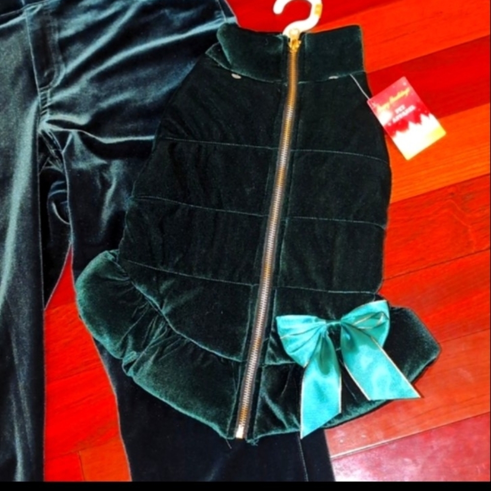 INC International Concepts Dark Green Velvet Leggings